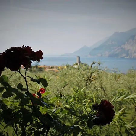 Apartmenttelemark Malcesine